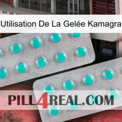 Utilisation De La Gelée Kamagra 29